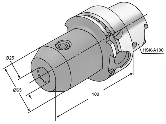 Weldon-Aufnahme HSK-A100-25-100