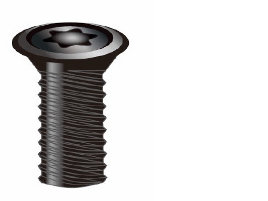 Nine9 Schraube NS-16030